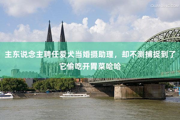 主东说念主聘任爱犬当婚摄助理，却不测捕捉到了它偷吃开胃菜哈哈