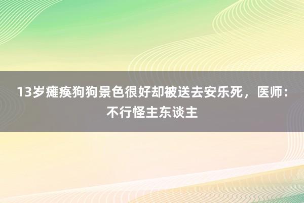 13岁瘫痪狗狗景色很好却被送去安乐死，医师：不行怪主东谈主