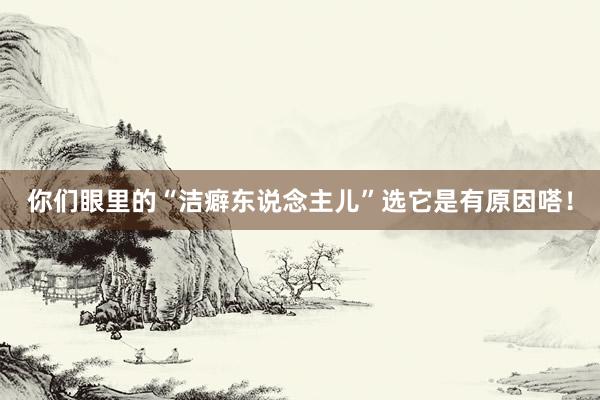 你们眼里的“洁癖东说念主儿”选它是有原因嗒!