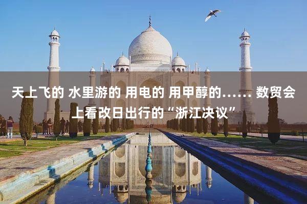 天上飞的 水里游的 用电的 用甲醇的…… 数贸会上看改日出行的“浙江决议”