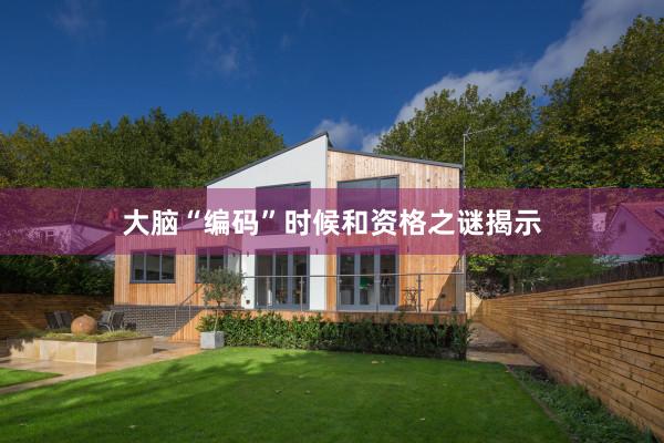 大脑“编码”时候和资格之谜揭示