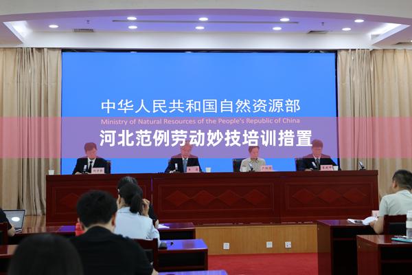 河北范例劳动妙技培训措置
