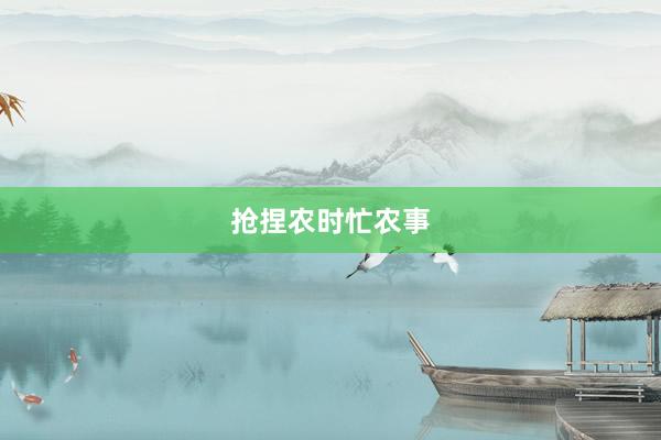 抢捏农时忙农事