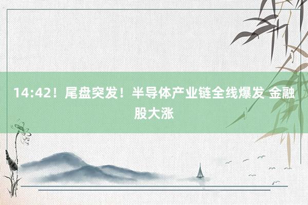 14:42！尾盘突发！半导体产业链全线爆发 金融股大涨