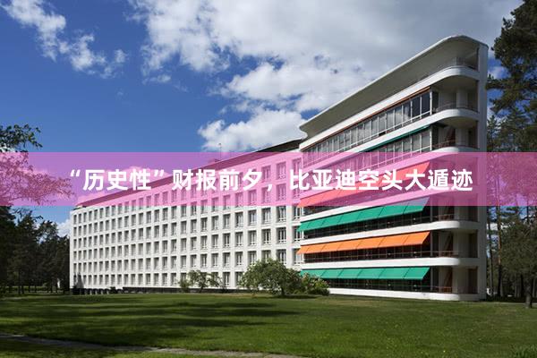 “历史性”财报前夕，比亚迪空头大遁迹