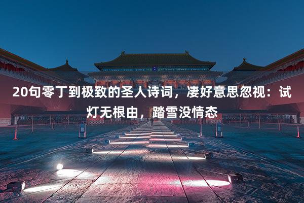 20句零丁到极致的圣人诗词，凄好意思忽视：试灯无根由，踏雪没情态