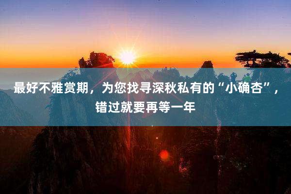 最好不雅赏期，为您找寻深秋私有的“小确杏”，错过就要再等一年