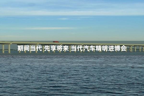 期间当代 先享将来 当代汽车精明进博会