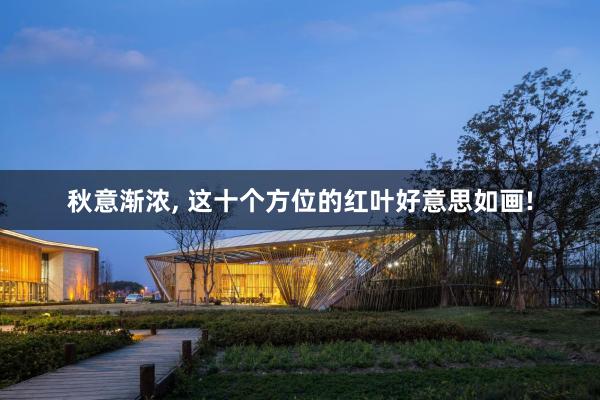 秋意渐浓, 这十个方位的红叶好意思如画!