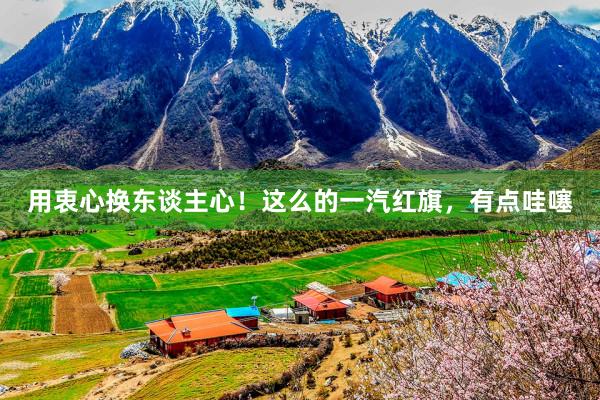 用衷心换东谈主心！这么的一汽红旗，有点哇噻
